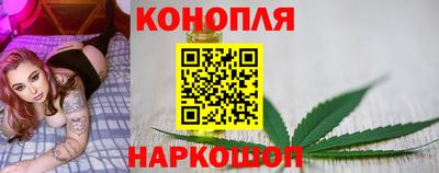 прущие грибы Коммунар